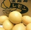「自家製リモンチェッロ」