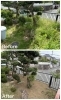 草刈り(機械除草)「豊能郡豊能町で雑草の草刈りをしました」