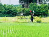 補助者が散布境界線を合図します「【茨城】【水戸】「空中散布講習」-危険物輸送/物件投下-【ドローン】【国家資格】」