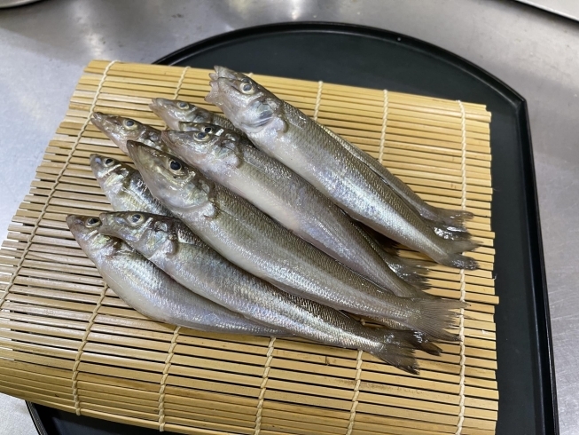 キスの天ぷら 上品な味です 江戸前磯料理 大定のニュース まいぷれ 木更津 君津 富津 袖ケ浦 キスの天ぷら 上品な味です 江戸前磯料理 大定のニュース まいぷれ 木更津 君津 富津 袖ケ浦