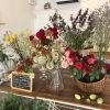 糸島市前原中央【PLAISIR（プレジール）】商店街のすてきなお花屋さん
