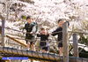 「桜🌸ロケーション撮影、絶賛撮影中‼️」