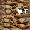 「ズワイガニ販売中です」