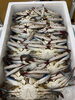 「鮮魚パックいろいろ販売中‼️〆鯖も販売致します🐳」