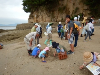 過去の海の生き物観察の様子（1）