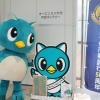 毎日やっちが登場♪　「やっちのおうち」が予想以上にすごい！！