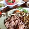 岡山市中区でカレーランチ