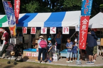 まつり恒例の金魚すくい