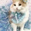レモン　ちゃん
