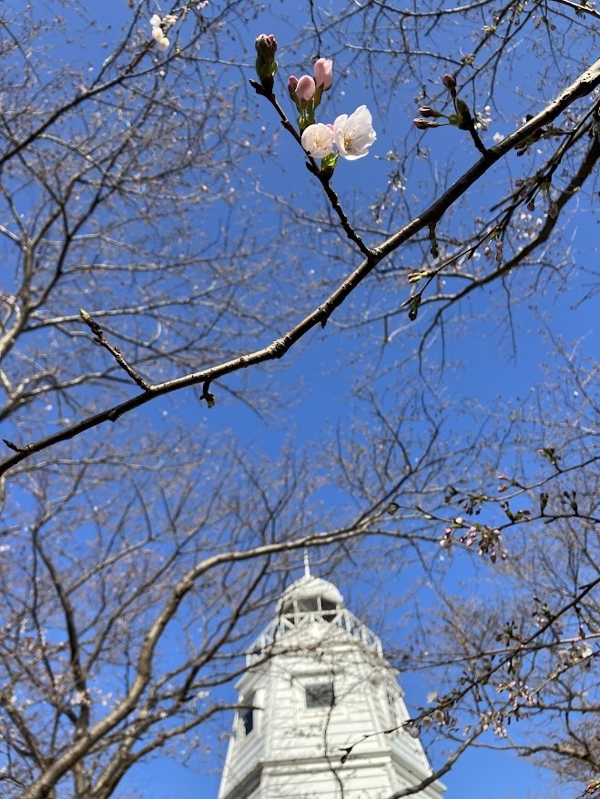 境台場公園  境港市