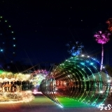 クラウドファンディングプロジェクト「「光の回廊 ルミナリエ」開催の地で、クリスマスに光の遊園地をみんなで作りたい！！」