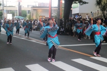 落ち着いたよさこいも魅力的♪