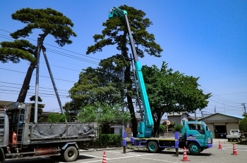 高所作業車を使っての剪定作業も承ります。「桐澤建設株式会社」