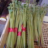「GWはじまりました～旬野菜・お土産・特産品の【山の店】（秋川渓谷から車で5分）～」