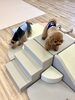 クーくん、仁姜くん　登ったり降りたり　段差を楽しんでますよ「ましゅまろ幼稚園🐾＆イベントについて」
