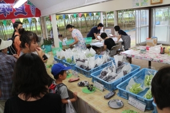 こちらでは試食と販売。<br>え？！ 1kg1500円するのを2房もお土産なの？！