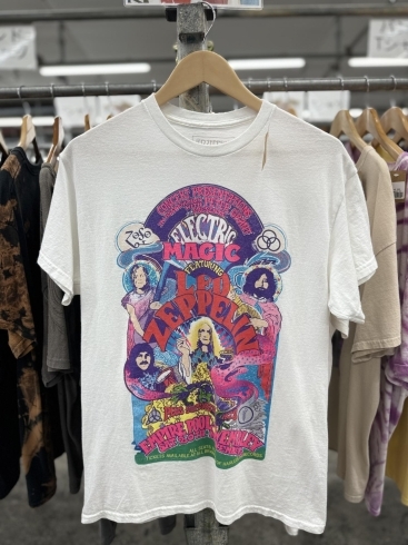 Led Zeppelin Tシャツ「プリントTシャツ(グラフィック系、バンド、アニマルetc.)約130枚入荷してます！和歌山古着屋Lucido Bell」