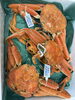 茹で蟹🦀発送出来ます🚛「年末年始の食卓を彩る最高級の蟹！セコがにの食べ納めと茹で蟹発送のご案内」