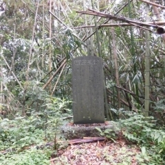 【手賀】鳥名木氏について【鳥名木家文書】