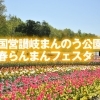 国営讃岐まんのう公園　春らんまんフェスタ