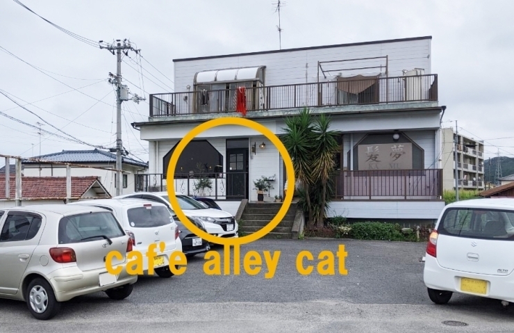 「【あかがねポイントが貯まる・使えるお店】caf'e alley cat（アリーキャット）」