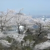 西部公園