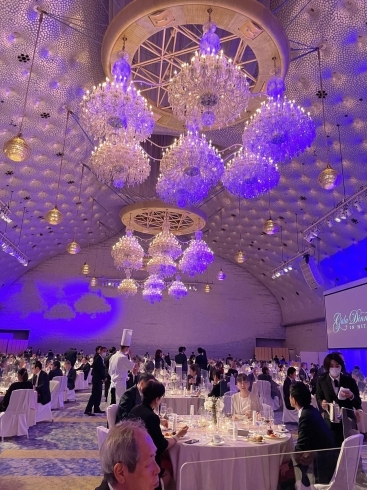 グランドプリンスホテル新高輪 飛天 デビュー カラフル野菜の小山農園のニュース まいぷれ 立川市 グランドプリンスホテル新高輪 飛天 デビュー カラフル野菜の小山農園のニュース まいぷれ 立川市