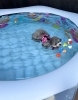 リリーちゃんプカプカ　🐳「ましゅまろプールDAY🐳」