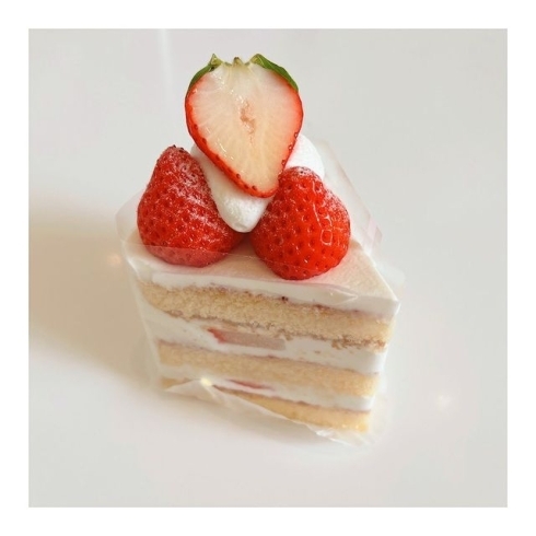 「☆夏みずきのケーキ新発売☆」