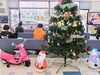 入り口にも大きなクリスマスツリー☆「12.22（日）『クリスマス特別イベント』準備万端☆京成ドライビングスクールさん♪」
