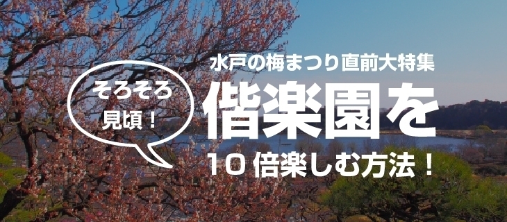 水戸の梅まつり直前大特集 偕楽園を10倍楽しむ方法 まいぷれセレクション まいぷれ 水戸市 水戸の梅まつり直前大特集 偕楽園を10倍楽しむ方法 まいぷれセレクション まいぷれ 水戸市