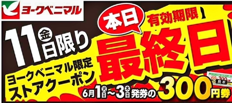 「《どまんなか得の市》開催中です❕」