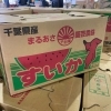 「千葉県産　「すいか」の入荷も始まりましたー🍉」
