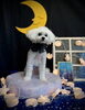 リクくん「お月さまとわんこ🌛」