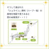 初めて国産オーガニックハーブを使用「ホリスティカルハーブテントハーブ「シュライン」」