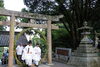 https://higashi-okayama.mypl.net/article/saidaiji-matsuri_higashi-okayama/54216