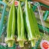 「今年も入荷が始まってるよー！！ 知る人ぞ知る。美味しい「オクラ」秋田県産　JAうご『ひばり野オクラ』です♪♪」