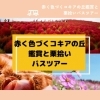「株式会社旅倶楽部　ツアーのご紹介【トリコカワグチ掲載店の最新情報】」