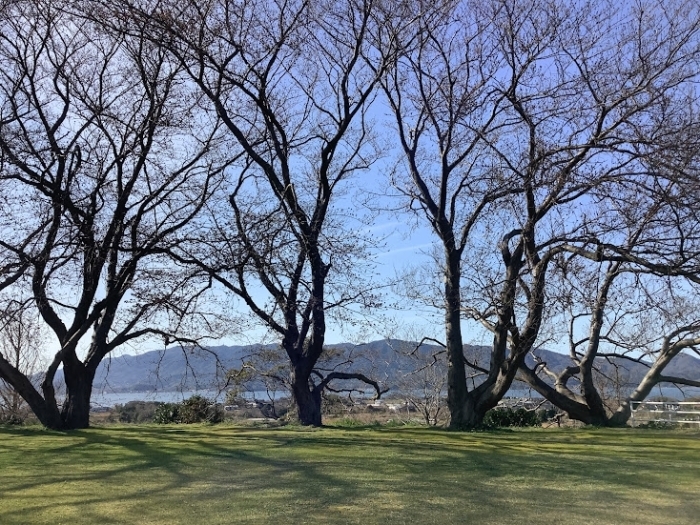 大塚山公園  八束町(大根島)