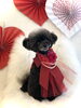 クッキーちゃん／こぐまカット　シニアさん「Happy Valentine ♡」