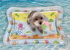 ココちゃん「波とわんこ🌊」