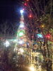 「merryX'mas´∀｀♪♪」