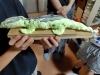 体験の時作った恐竜！素晴らしい！「作りたいもの……」