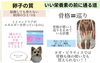「富山県射水市の妊活サロン
【妊活とは？】現代の現状🧐」