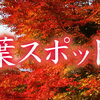 八千代市から行ける近隣のおすすめ絶景紅葉スポット特集！