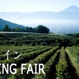 日本ワイン TASTING FAIR