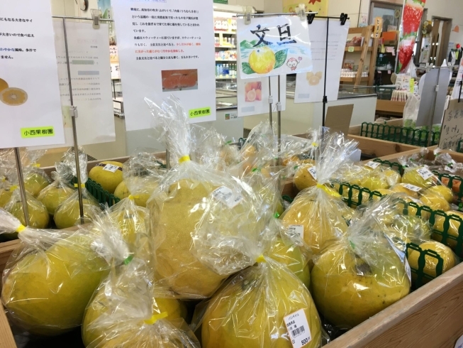 「【川島店】様々な柑橘類を販売！」