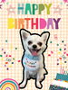 「Dog salon mofu mofu　余市町」