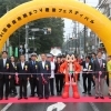 『第41回新座市民まつり　産業フェスティバル2017』に行ってきました！！