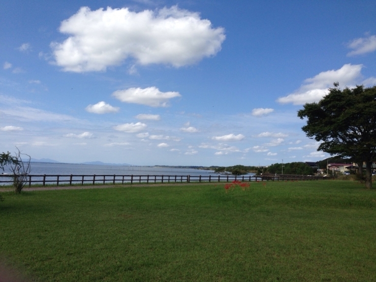 水郷筑波国定公園　天王崎園地は「天王崎公園」と市民から親しみのある公園です。高齢者のグランドゴルフの練習や大会に使用されたり、散歩コースにしている方も多くいます。